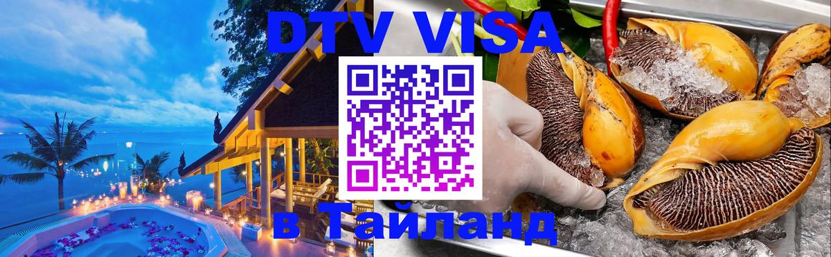 Оформление DTV визы под ключ: стоимость и тарифы, только загранпаспорт - 07.12.2025 